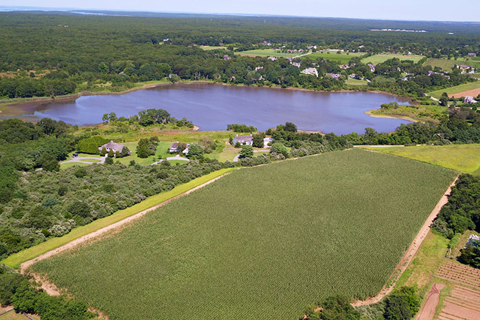 Poxabogue Pond in Sagaponack