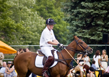 Prince Harry