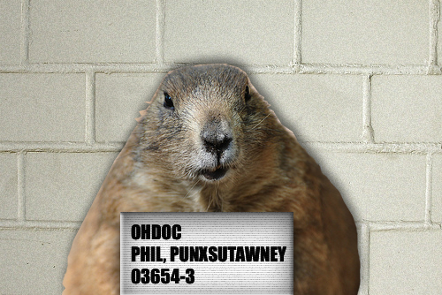 Punxsutawney Phil Mugshot