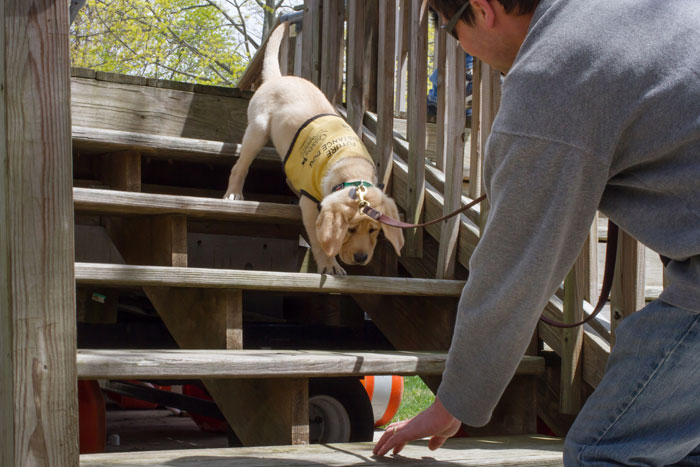 The Guide Dog Foundation for the Blind will visit Peconic Landing.