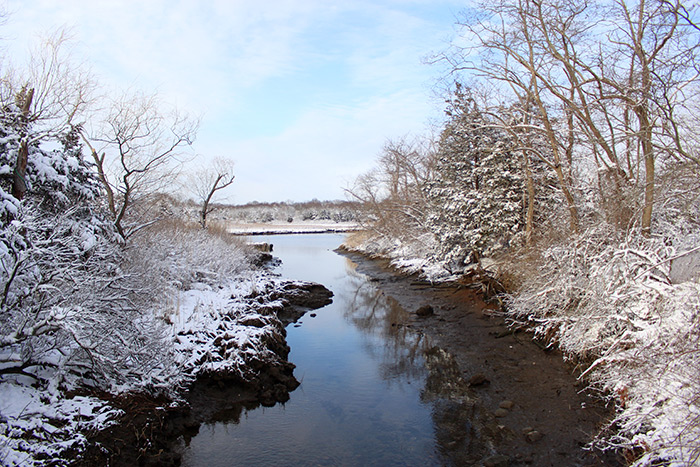 Pussy's Pond snow in Springs