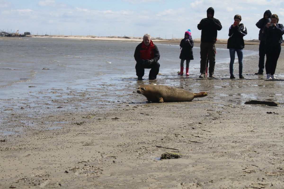 Riverhead Foundation Seal Release