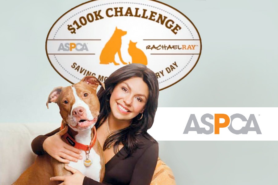 Rachael Ray $100K Challenge ASPCA