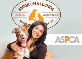 Rachael Ray $100K Challenge ASPCA