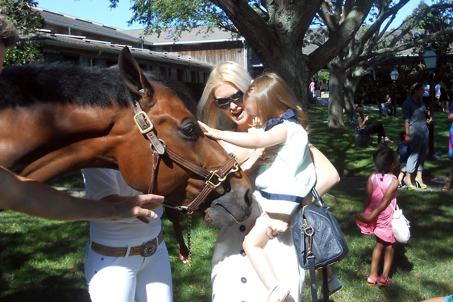 Zacardi, 16-year-old hunter/jumper, Kate Davidson Hudson and Ava Hudson