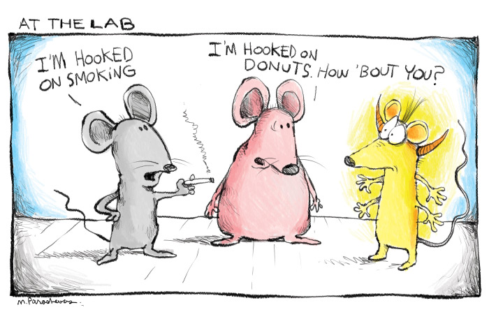 Rats cartoon by Mickey Paraskevas