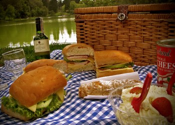 Red Wine Picnic