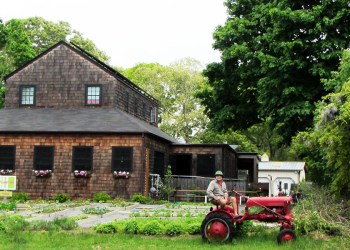 Gardener Phil Manzo at Fresh Hamptons during planting time this past season