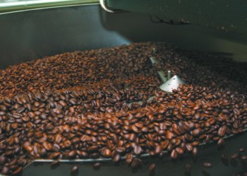 Roasting Coffee at Hampton Coffee