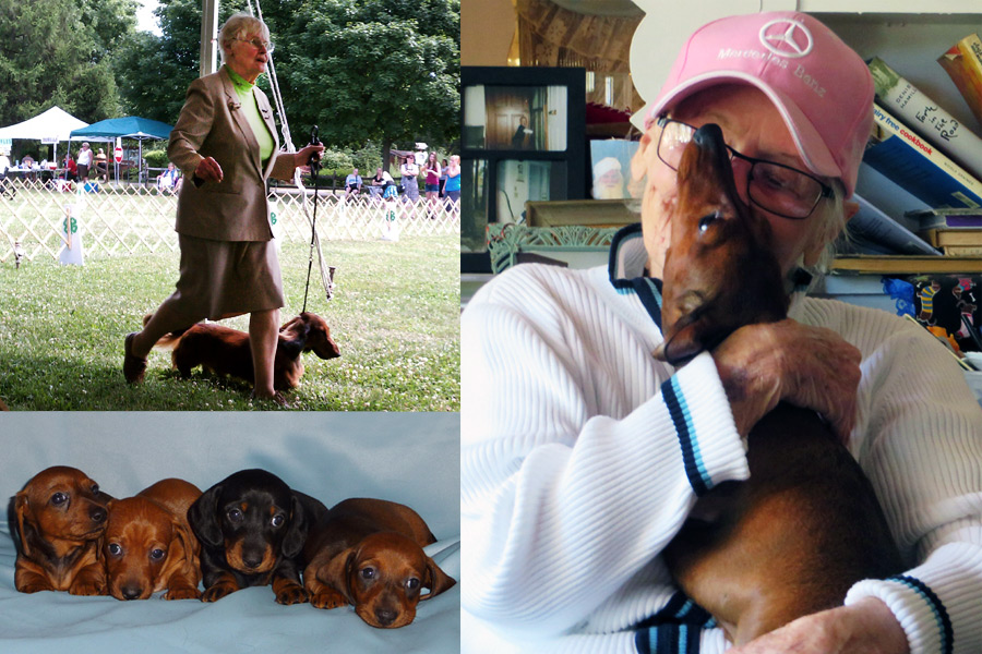 Robin Gianopoulos and her dachshund friends