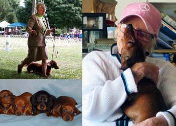 Robin Gianopoulos and her dachshund friends