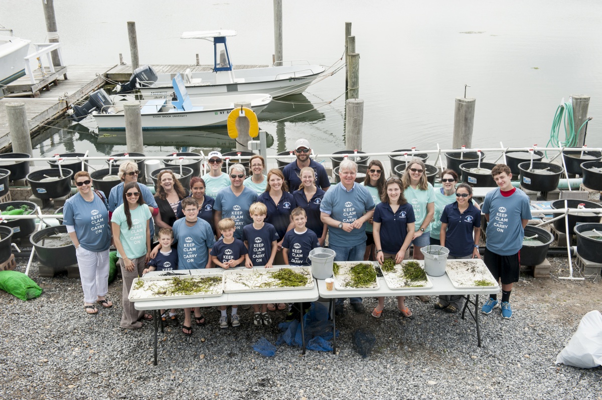 Assemblyman Fred W. Thiele Jr. and volunteers “Keep Clam and Carry On.” The group handled 8,200 reproductive shoots, each containing roughly 50 seeds.