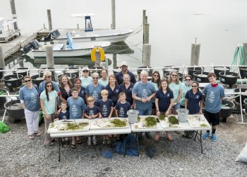 Assemblyman Fred W. Thiele Jr. and volunteers “Keep Clam and Carry On.” The group handled 8,200 reproductive shoots, each containing roughly 50 seeds.