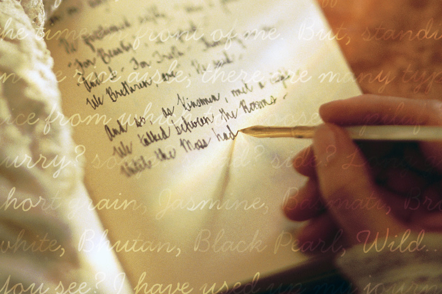 Southampton Historical Museum Journals February