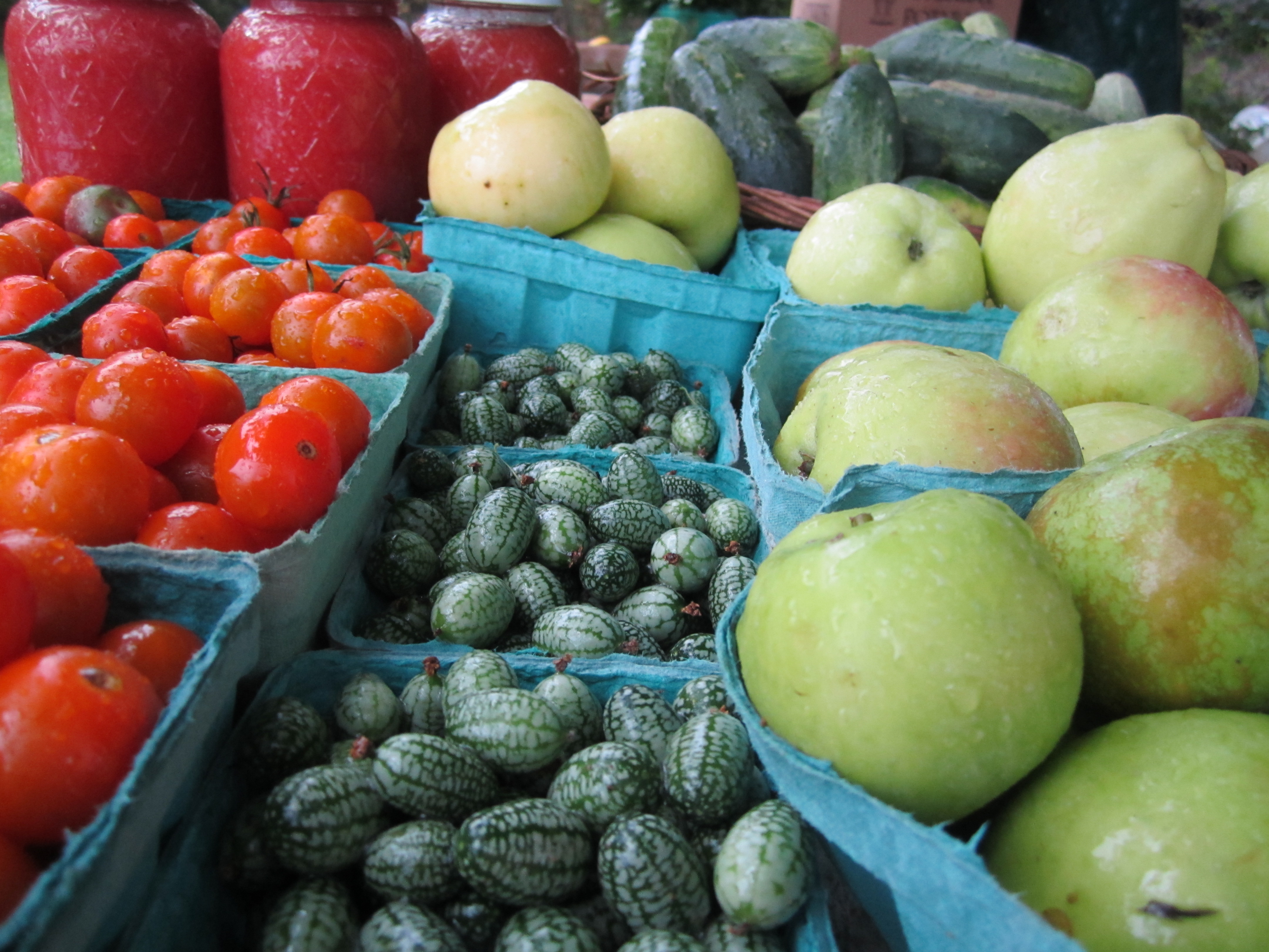 With HarborFest in the Hamptons this weekend, the Sag Harbor Farmers Market is all the more enticing.