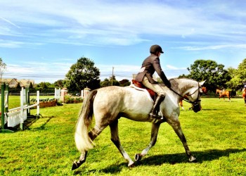 Sagaponack Horse Show