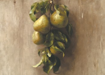 Dan's Papers cover by Sarah Lamb