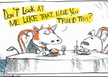 Screen Shot 2012-12-13 at 1.14.10 PM