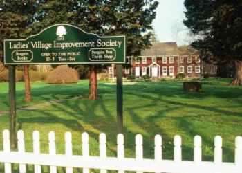 LVIS sign