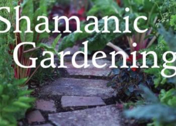 Screen-Shot-2013-06-13-at-12.52.34-PM-434×287