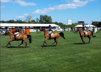 hampton classic horse show 2014