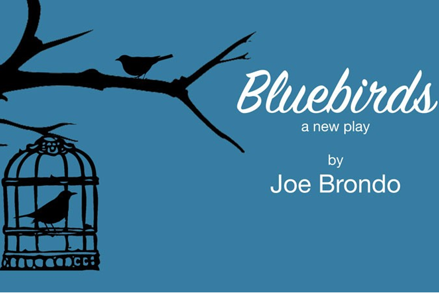 "Bluebirds" by Joe Brondo at Guild Hall.