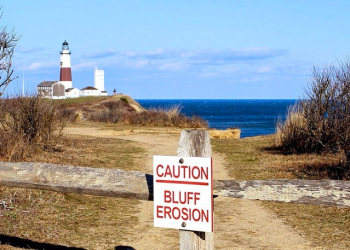 Gail Gallagher @paintingthehamptons