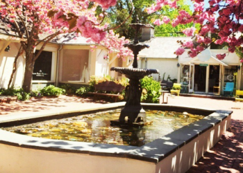 Follow @danspapers on Instagram.