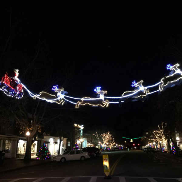 Reindeer and Santa's sleigh in Southampton Village.