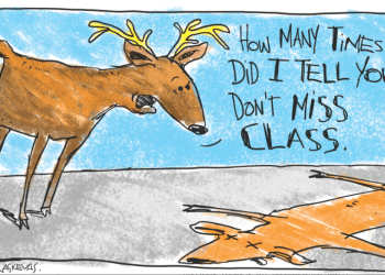 deer