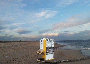 Derwood Hodgegrass' Sea-Lysium VII heats the ocean for swimming