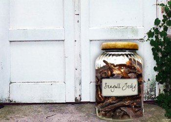 Mysterious seagull jerky in Shelter Island