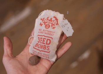 seed bombs
