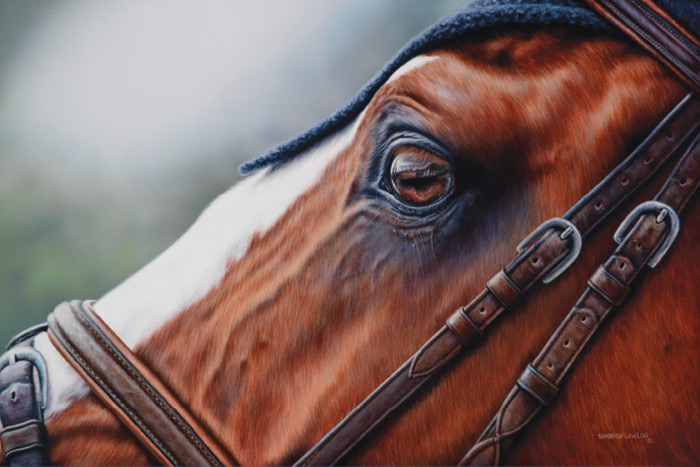 Dan's Papers cover art and Hampton Classic poster, "Flexible Soul," by Shannon Lawlor