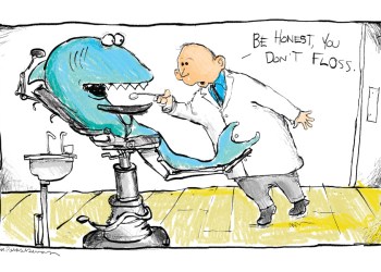 Shark dentist cartoon by Mickey Paraskevas