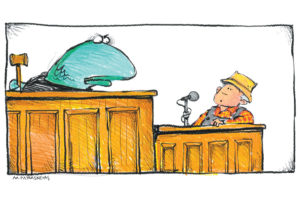 Shark Judge Cartoon By Mickey Paraskevas