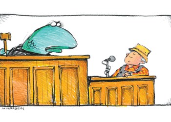 Shark Judge Cartoon By Mickey Paraskevas