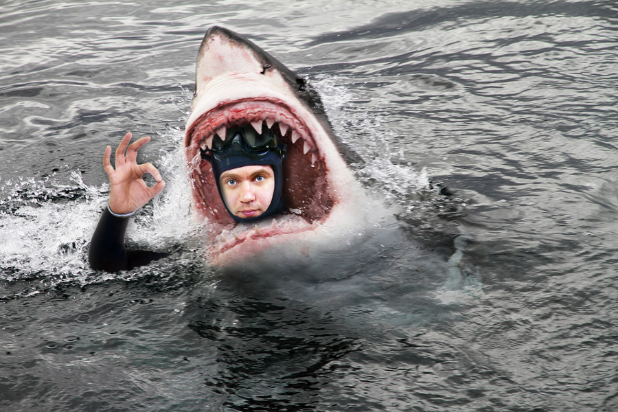 A man in a shark suit fooled police this week