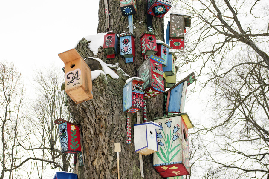 Shelter Island birdhouses