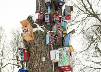 Shelter Island birdhouses