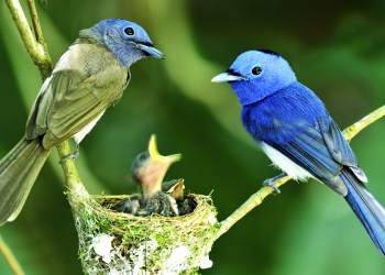 Do you smell Old Spice?