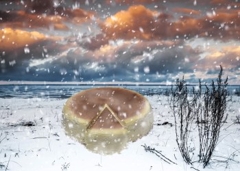 Cheesecake can go a long way on Shelter Island