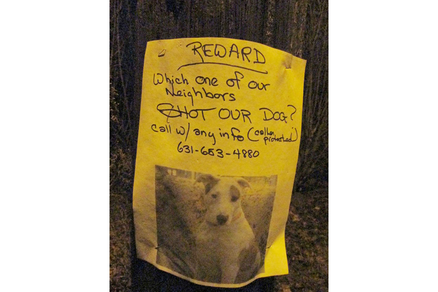 A reward is being offered for the identity of the person who shot an East Quogue resident's dog.