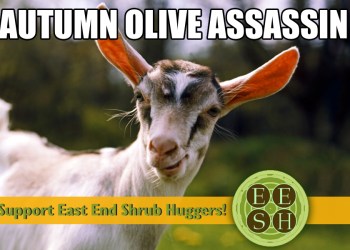 Support the East End Shrub Huggers!