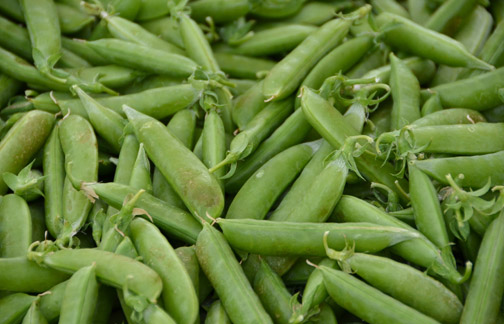 Snap Peas