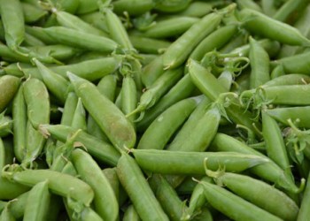 Snap Peas