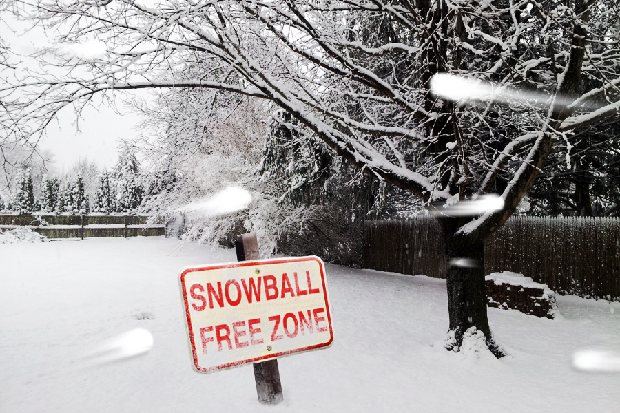 Snowball Free Zone in Southampton
