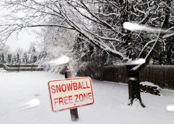 Snowball Free Zone in Southampton