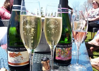 Sparkling Pointe is Dan's Best of the Best Platinum winner