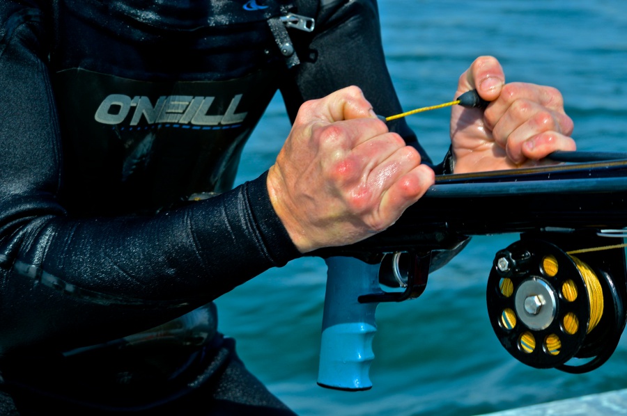 Spearfishing isn't for the faint of heart or weak of hand